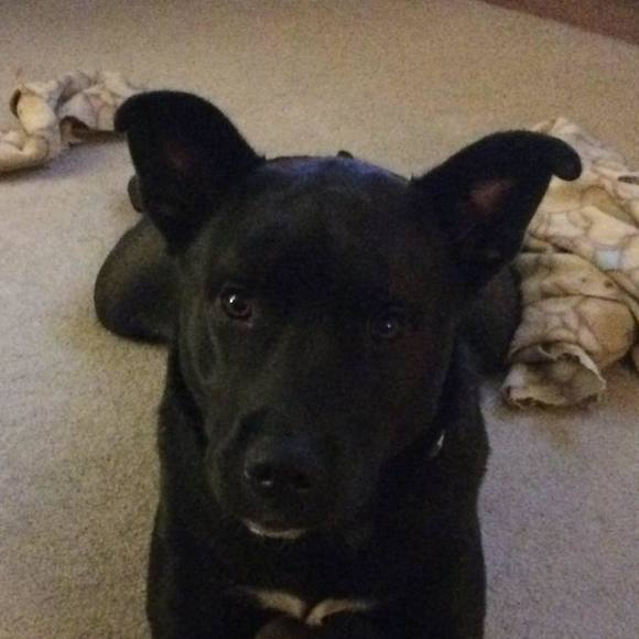 Meet your Posher, Erica - Picture 1 of 1